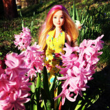 Barbie Dreamtopia