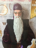 Albus Dumbledore