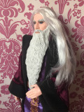 Albus Dumbledore