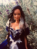 Barbie Native American 4th edition